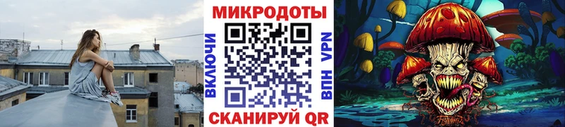 Псилоцибиновые грибы прущие грибы  магазин  наркотиков  kraken зеркало  Новосокольники 